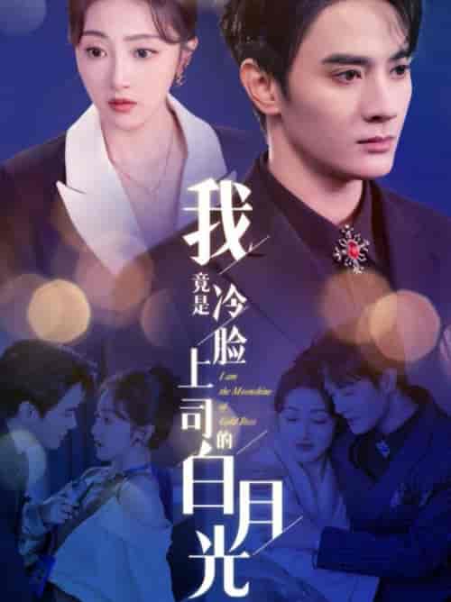 我竟是冷脸上司的白月光（80集全）陈冠峄＆海依凡 - 紫橙阁短剧