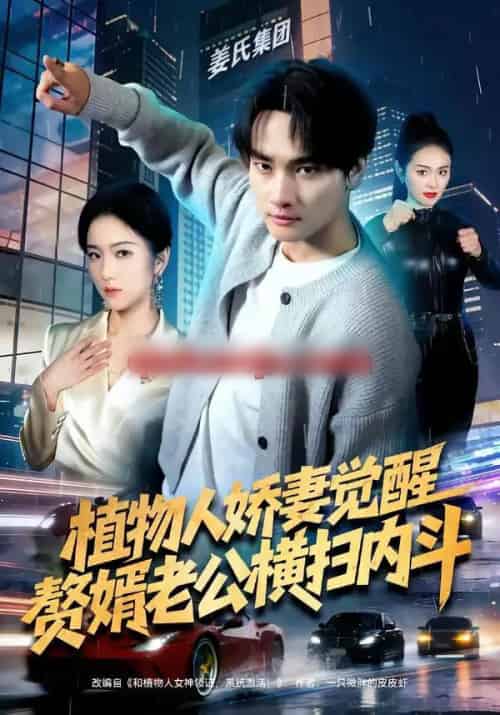 植物人娇妻觉醒，赘婿老公横扫内斗（80集全）刘国文＆薄艾莹-紫橙网创项目网