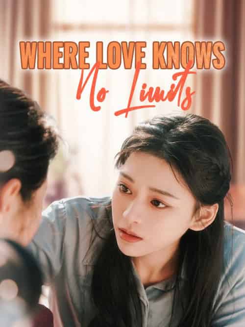 Where Love Knows No Limits（90集全）John＆Gray＆＆Emily＆Finn - 紫橙海外短剧