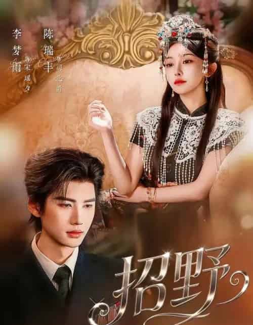 招野(64集全)陈瑞丰&李梦雨-紫橙网创项目网