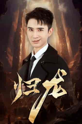 归龙（39集）管云鹏 - 紫橙阁短剧