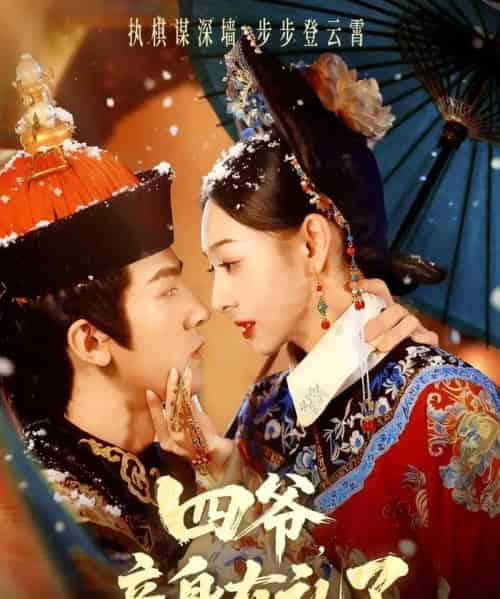 四爷，妾身有礼了（76集全）冯文栋＆鞠可儿-紫橙网创项目网