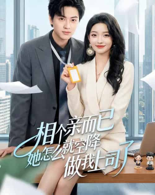 相个亲而已她怎么就空降做我上司了（30集全）罗潜宇＆刘晔-紫橙网创项目网