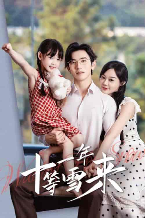 十一年等雪来（50集全）赵冠宇＆蔚琳 - 紫橙阁短剧