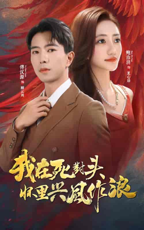 我在死对头怀里兴风作浪 我在死对头怀里兴风作浪