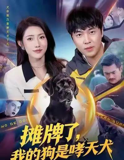 摊牌了,我的狗是哮天犬(98集全)刘晨宇&张如意-紫橙网创项目网