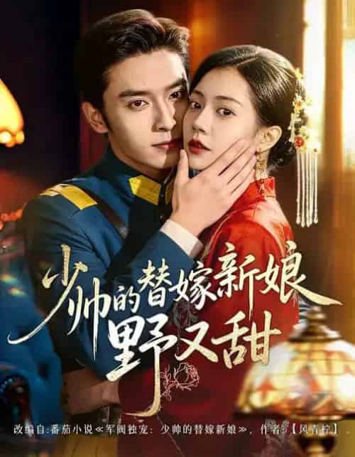 少帅的替嫁新娘野又甜（60集全）王博＆孙婉晴-紫橙网创项目网