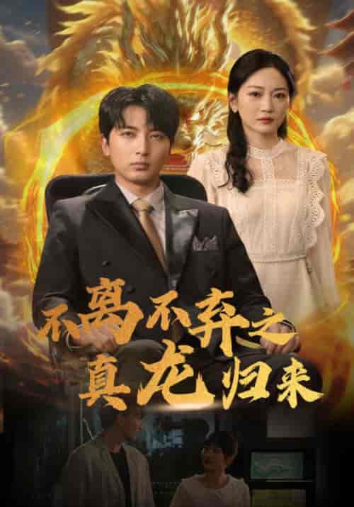 不离不弃之真龙归来（73集）-紫橙网创项目网