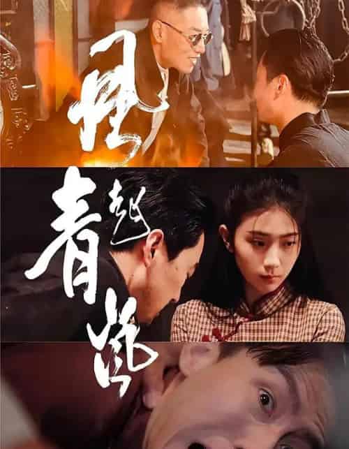风起青岚（96集）-紫橙网创项目网