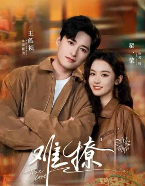 难撩&亲完就跑周医生把她拉黑了(100集全)王皓祯&翟一莹-紫橙网创项目网