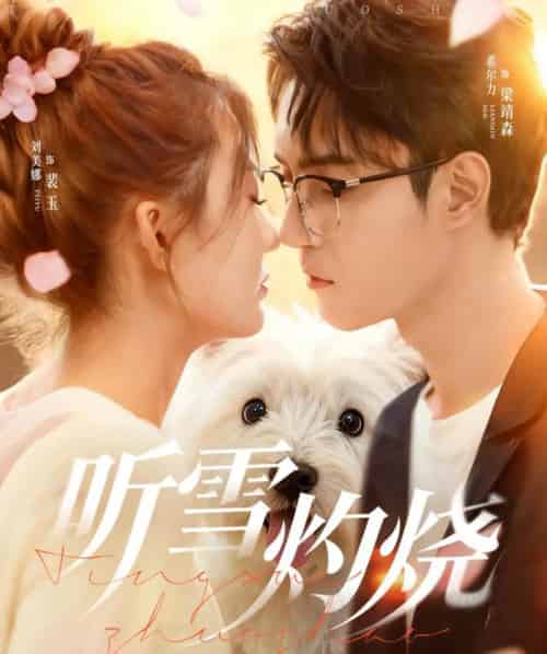 听雪灼烧(68集全)希尔力&刘美娜-紫橙网创项目网