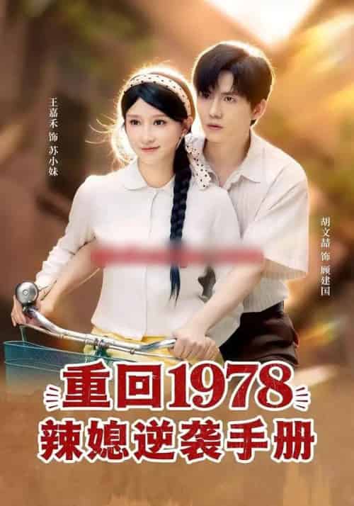重回1978辣媳逆袭手册（62集全）胡文喆＆王嘉禾-紫橙网创项目网