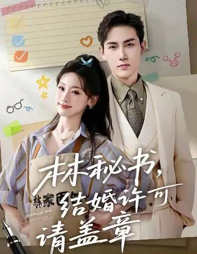 林秘书，结婚许可请盖章（62集全）徐嘉良＆邵依蕊-紫橙网创项目网