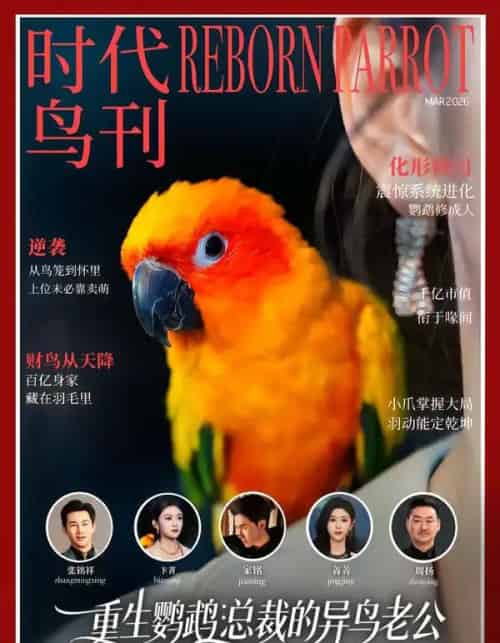 重生鹦鹉：总裁的异鸟老公（80集全）卞菁＆郭嘉铭-紫橙网创项目网