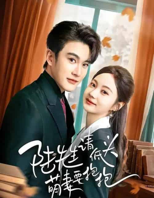 陆先生请低头萌妻要抱抱（51集全）陈天晓＆曾和惠子-紫橙网创项目网