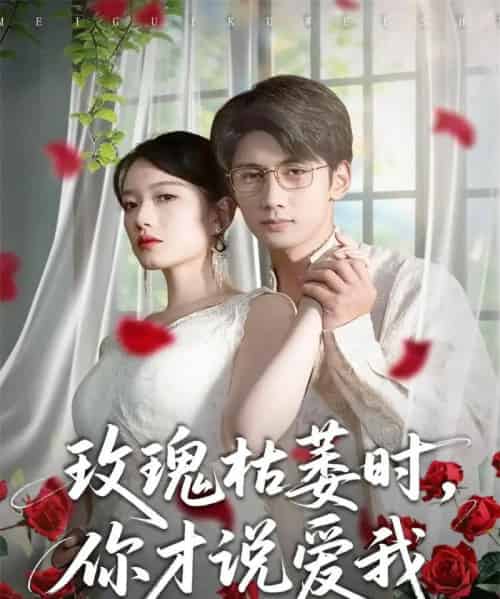 玫瑰枯萎时，你才说爱我（100集全）龚钦玥＆唐治璇-紫橙网创项目网