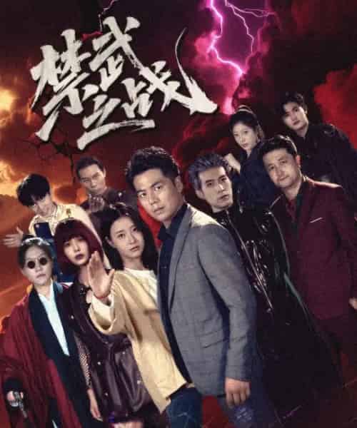 禁武之战＆隐世多年天下霸主还是我（60集全） - 紫橙阁短剧