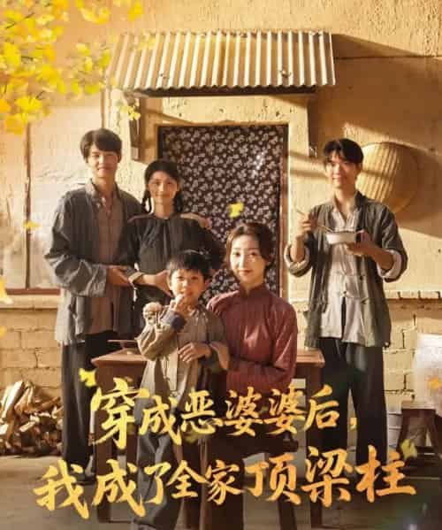 穿成恶婆婆后我成了全家顶梁柱（79集）海依凡-紫橙网创项目网