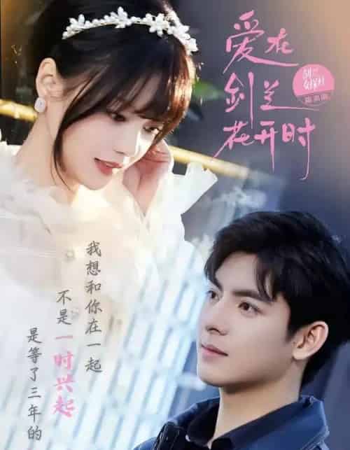 爱在剑兰花开时（56集全）王皓轩＆陈思予-紫橙网创项目网