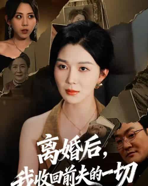 离婚后,我收回前夫的一切(71集全)孔莹莹-紫橙网创项目网