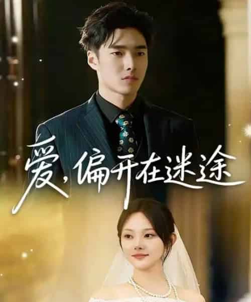 爱，偏开在迷途（63集全）林非梵＆张啸昂-紫橙网创项目网