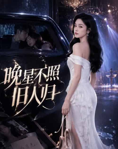 晚星不照旧人归(32集全)AI-紫橙网创项目网