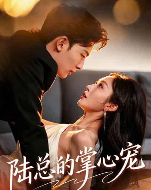 陆总的掌心宠（85集全）宋佳音＆朱永强-紫橙网创项目网