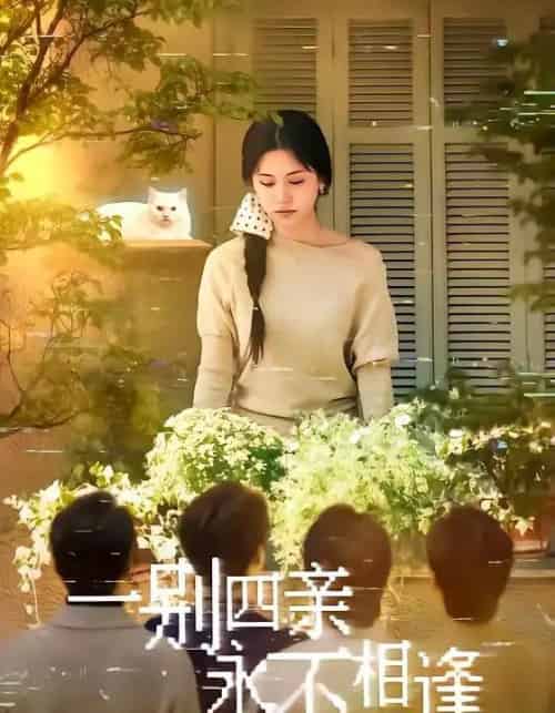 一别四亲永不相逢（65集全）彭剑雄＆咪咔-紫橙网创项目网