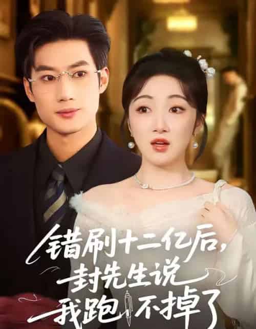 错刷十二亿后，封先生说我跑不掉了（80集全）肖洋＆海依凡-紫橙网创项目网