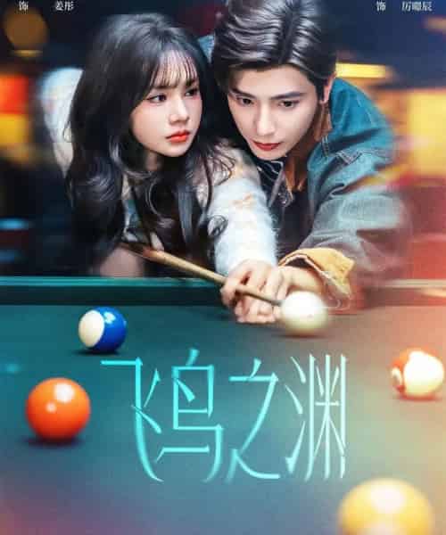 飞鸟之渊（67集全）何聪睿＆刘念-紫橙网创项目网