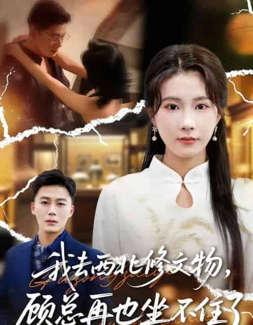 我去西北修文物，顾总再也坐不住了（46集全）曹嘉怡＆戴金鳞-紫橙网创项目网