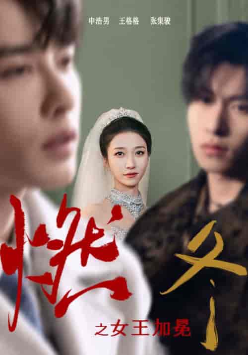 燃冬之女王加冕（70集）-紫橙网创项目网