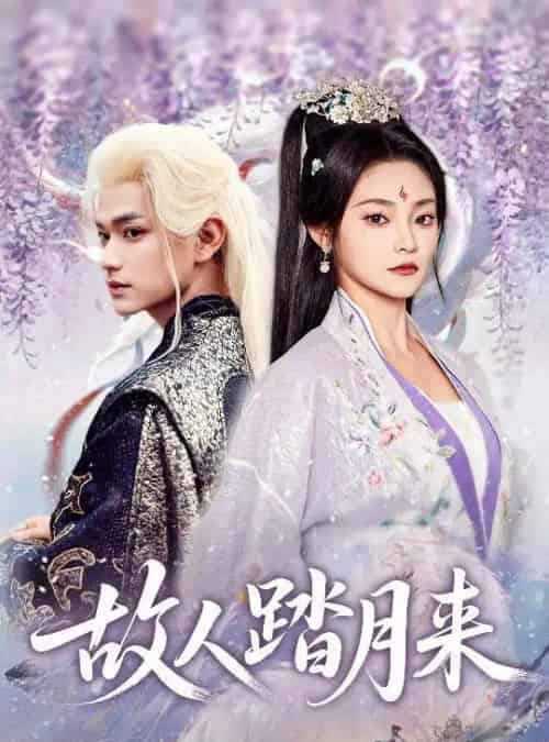 故人踏月来（60集全）张渊元＆塔瓦娜-紫橙网创项目网