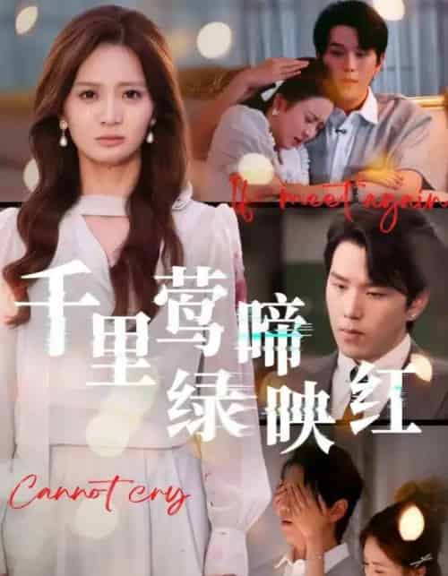千里莺啼绿映红(63集全)罗嘉麒&刘美娜-紫橙网创项目网