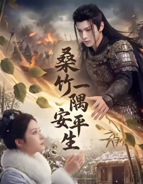 桑竹一隅安平生（54集全）AI-紫橙网创项目网