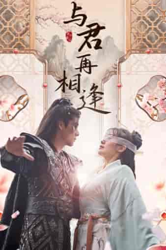 与君再相逢（70集） - 紫橙短剧