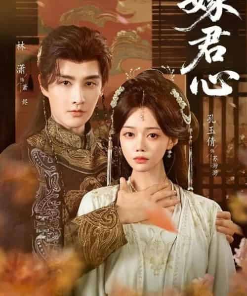 嫁君心（60集全）林潇＆孔玉倩-紫橙网创项目网