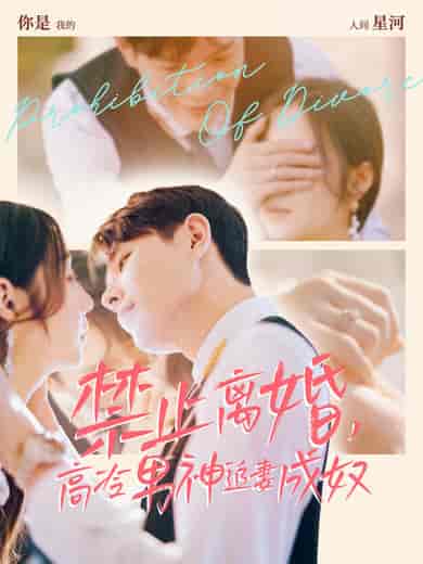 禁止离婚，高冷男神追妻成奴（57集全）王鑫＆秦语喃 - 紫橙阁短剧