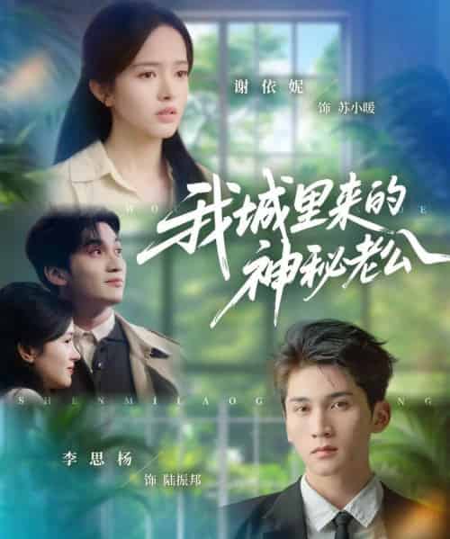 我城里来的神秘老公 我城里来的神秘老公