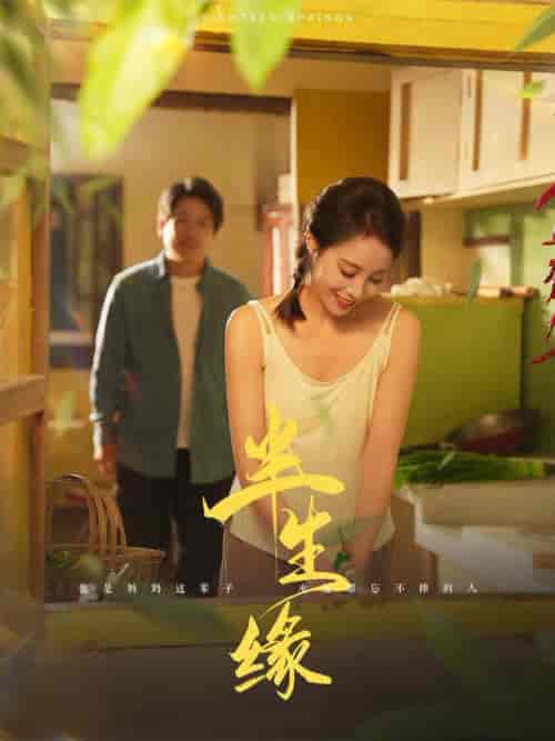 新版：半生缘（64集全）李长志 - 紫橙阁短剧