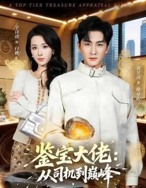 鉴宝大佬: 从司机到巅峰(80集全)黄昱清&辛诗琪-紫橙网创项目网