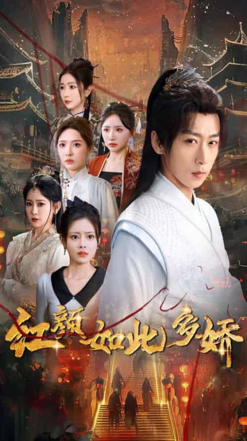 红颜如此多娇（80集全）刘金妍＆王艺鑫＆刘小喵＆王妍＆郭丽虹 - 紫橙阁短剧