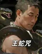 王蛇咒 王蛇咒