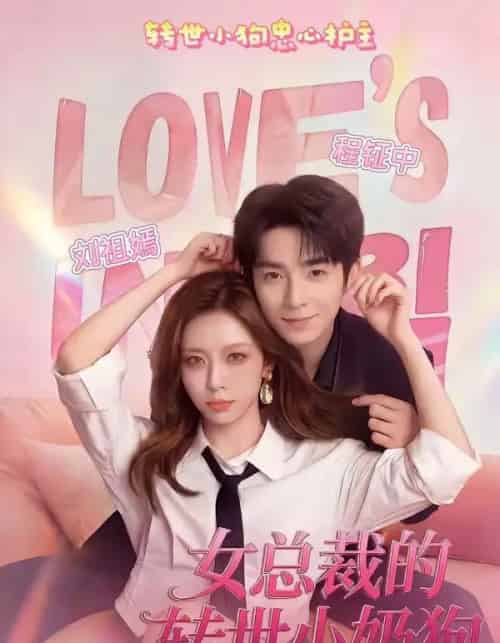 女总裁的转世小奶狗（30集全）程钲中＆刘祖嫣-紫橙网创项目网