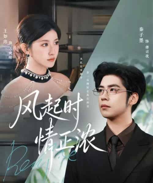 风起时情正浓（79集全）秦子墨＆王如玮＆洪乔 - 紫橙阁短剧