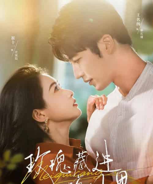 玫瑰藏进晚风里 玫瑰藏进晚风里