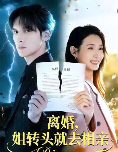 离婚,姐转头就去相亲(80集全)郧怡静&于散-紫橙网创项目网