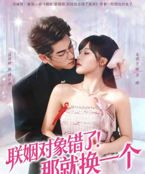 联姻对象错了！那就换一个（93集全）聂基坤＆朱馨玉-紫橙网创项目网