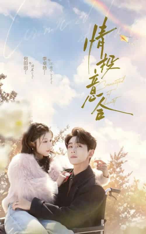 情投意合(60集全)李卓扬&何田田-紫橙网创项目网