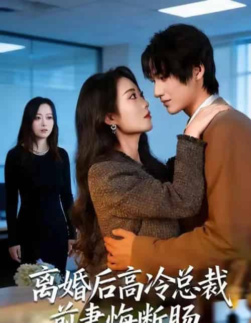 离婚后高冷总裁前妻悔断肠（80集全）王禹桐＆杨舒婷-紫橙网创项目网